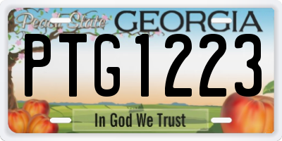 GA license plate PTG1223