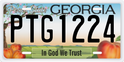 GA license plate PTG1224
