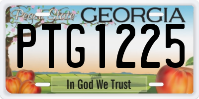 GA license plate PTG1225