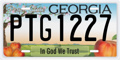 GA license plate PTG1227
