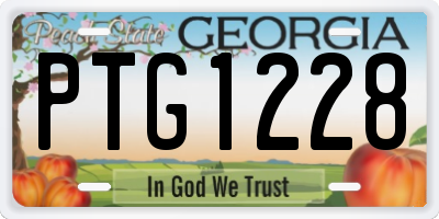 GA license plate PTG1228