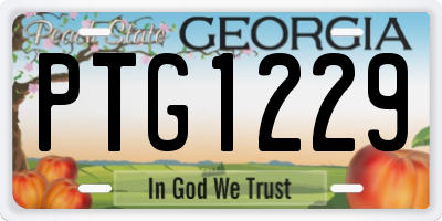 GA license plate PTG1229