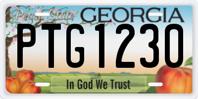 GA license plate PTG1230