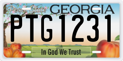 GA license plate PTG1231
