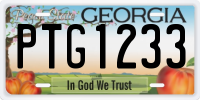 GA license plate PTG1233