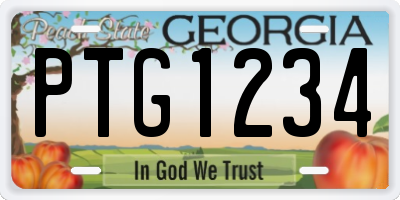 GA license plate PTG1234
