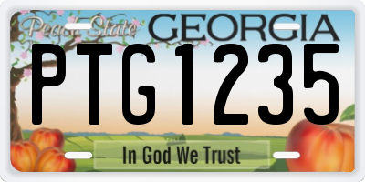 GA license plate PTG1235