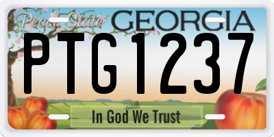 GA license plate PTG1237