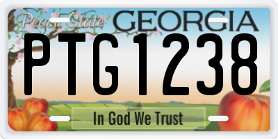 GA license plate PTG1238