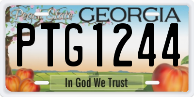 GA license plate PTG1244
