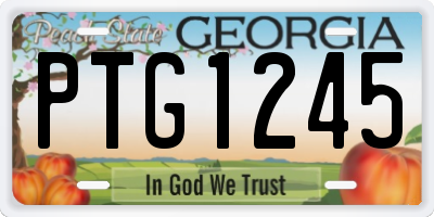 GA license plate PTG1245