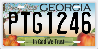 GA license plate PTG1246