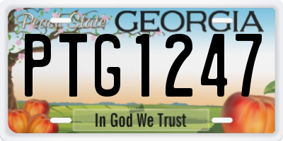 GA license plate PTG1247