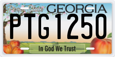 GA license plate PTG1250