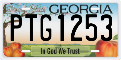 GA license plate PTG1253