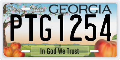 GA license plate PTG1254