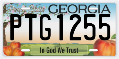GA license plate PTG1255