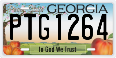 GA license plate PTG1264
