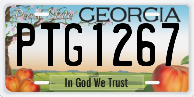 GA license plate PTG1267