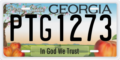 GA license plate PTG1273