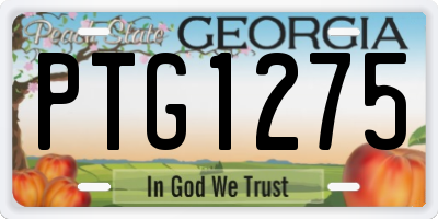 GA license plate PTG1275