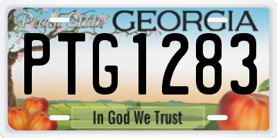 GA license plate PTG1283