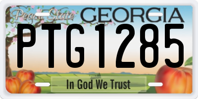 GA license plate PTG1285