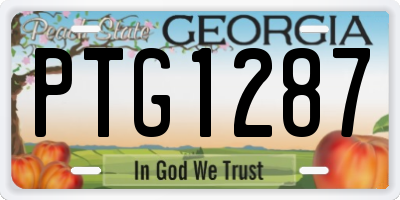 GA license plate PTG1287