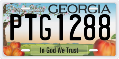 GA license plate PTG1288