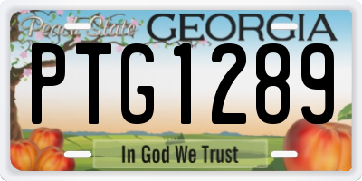 GA license plate PTG1289