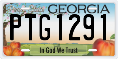 GA license plate PTG1291