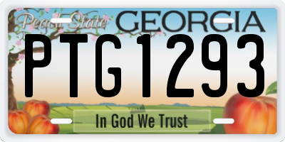 GA license plate PTG1293