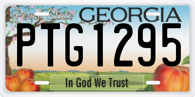GA license plate PTG1295