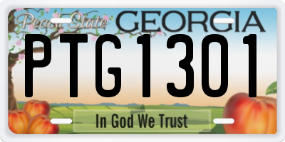 GA license plate PTG1301