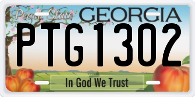 GA license plate PTG1302