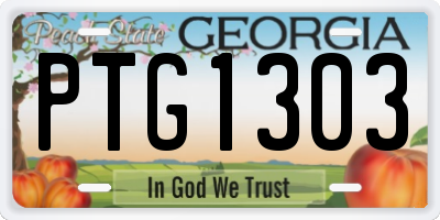 GA license plate PTG1303
