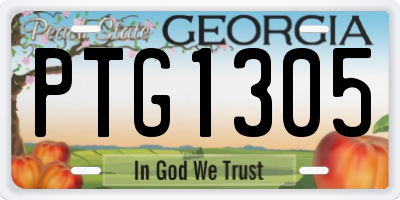 GA license plate PTG1305