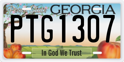 GA license plate PTG1307