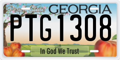 GA license plate PTG1308