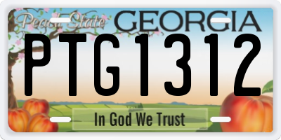 GA license plate PTG1312