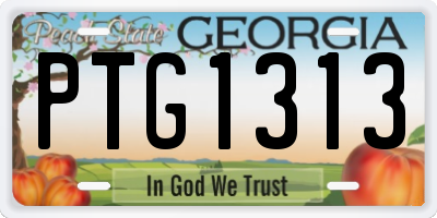 GA license plate PTG1313