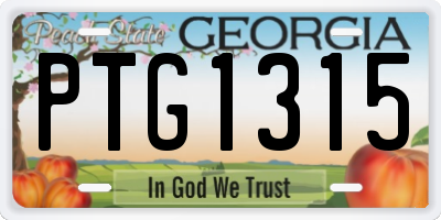 GA license plate PTG1315