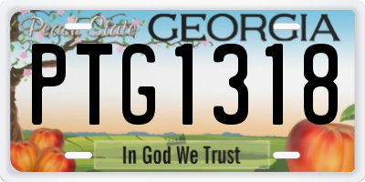 GA license plate PTG1318