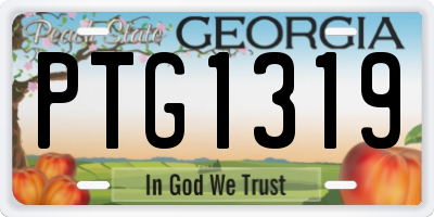 GA license plate PTG1319