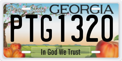 GA license plate PTG1320