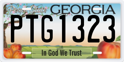 GA license plate PTG1323