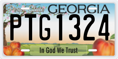 GA license plate PTG1324