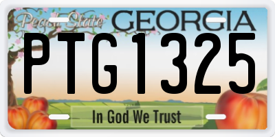 GA license plate PTG1325
