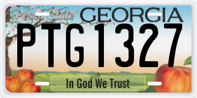 GA license plate PTG1327