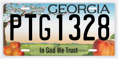 GA license plate PTG1328